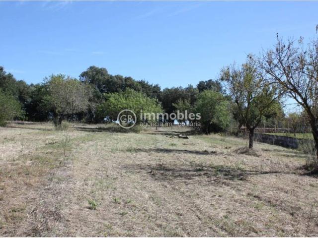 Terreno en venta en Raiguer, Baleares
