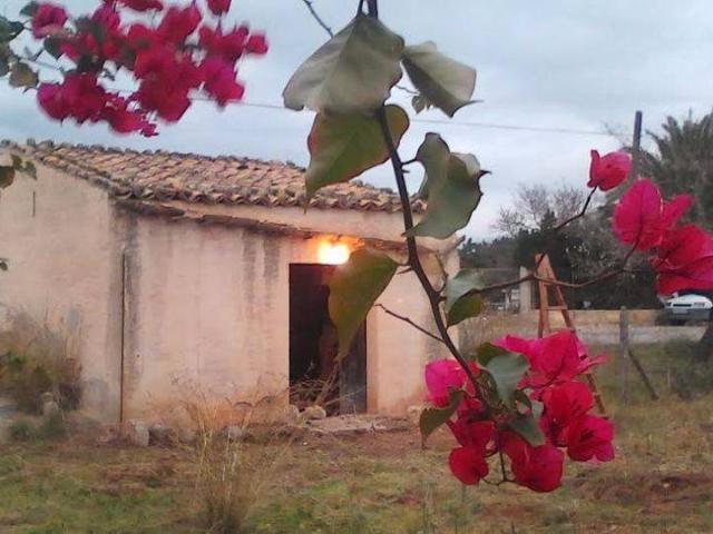 Terreno en venta en Lloseta