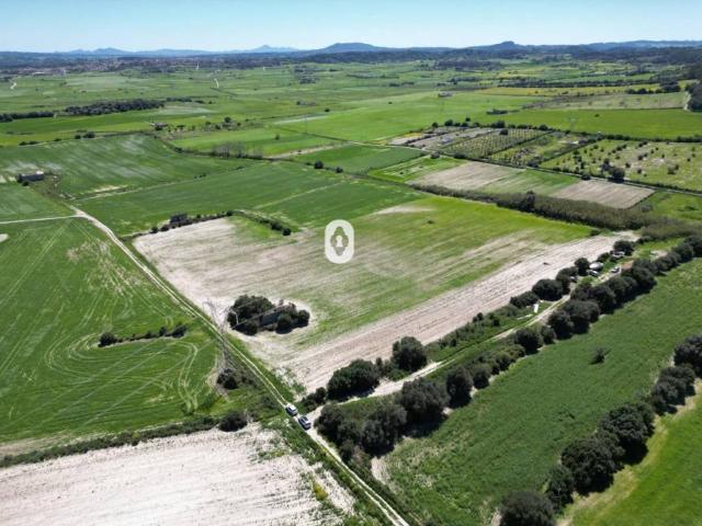 Terreno en venta en Llubí Terreno en venta en Llubí