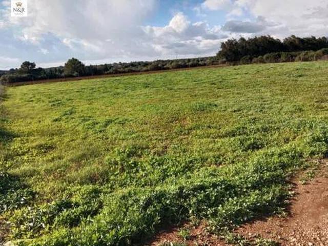 Terreno en venta en Pla de Mallorca, Baleares