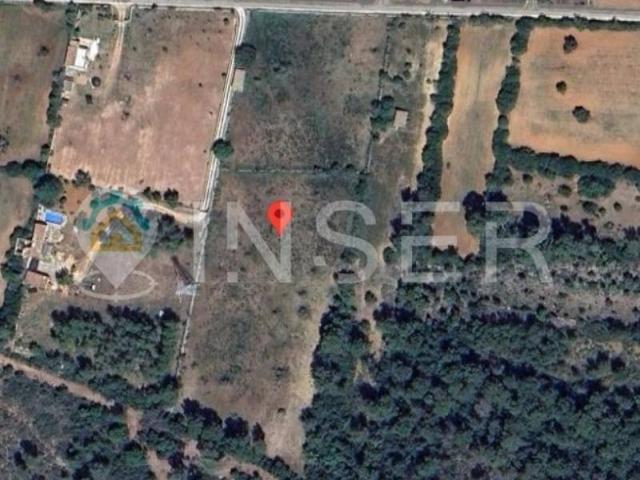 Terreno en venta en Pla de Mallorca, Baleares