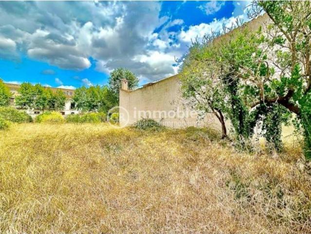 Terreno en venta en Llubí Terreno en venta en Llubí