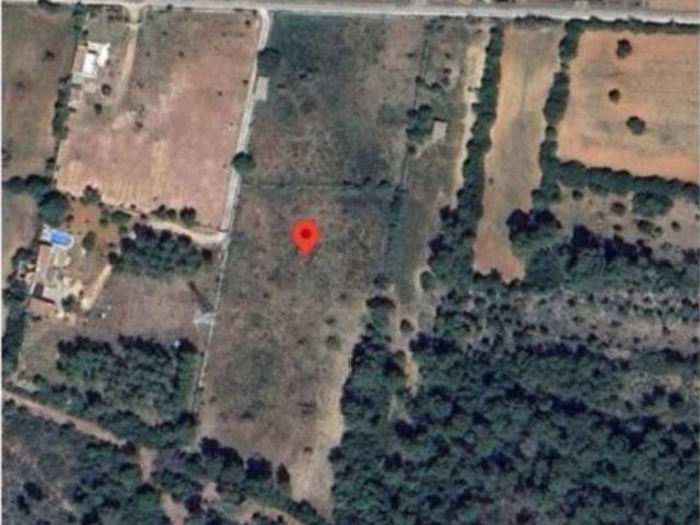 Terreno en venta en Pla de Mallorca, Baleares