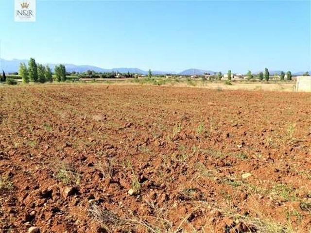 Terreno en venta en Pla de Mallorca, Baleares