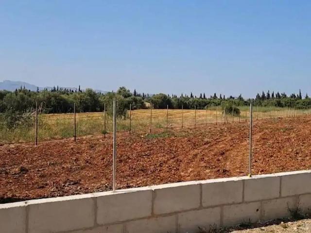 Terreno en venta en Pla de Mallorca, Baleares