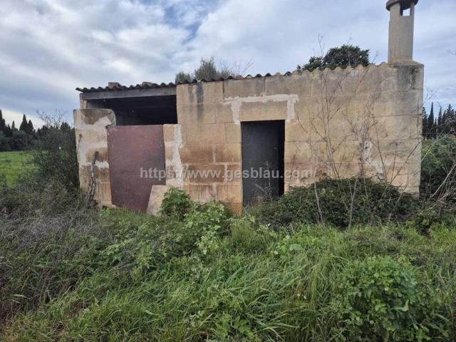 Terreno en venta en Pla de Mallorca, Baleares