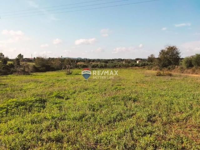 Terreno en venta en Llubí Terreno en venta en Llubí