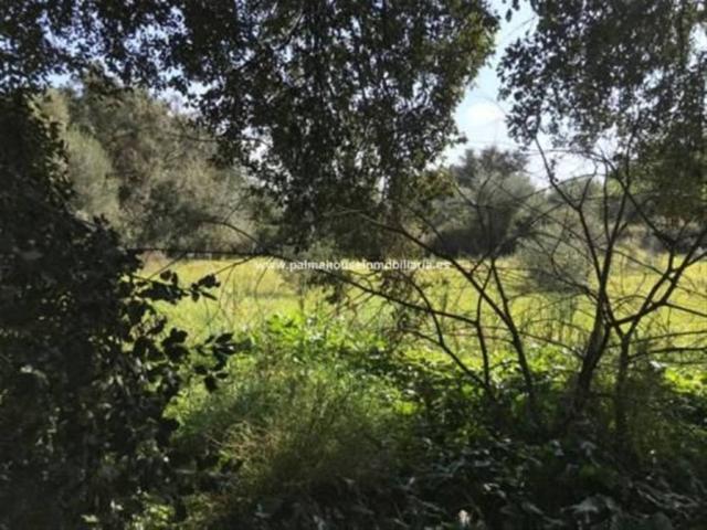 Terreno en venta en Pla de Mallorca, Baleares