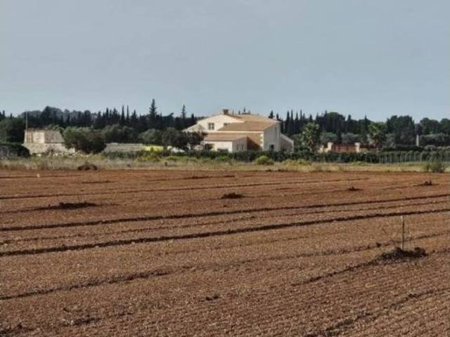 Terreno en venta en Pla de Mallorca, Baleares