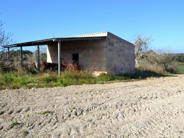 Terreno en venta en Llubí Terreno en venta en Llubí