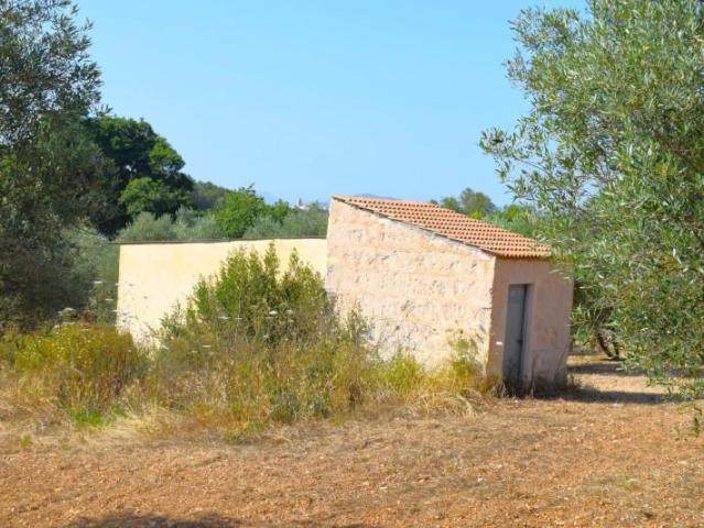 Terreno en venta en Llubí Terreno en venta en Llubí