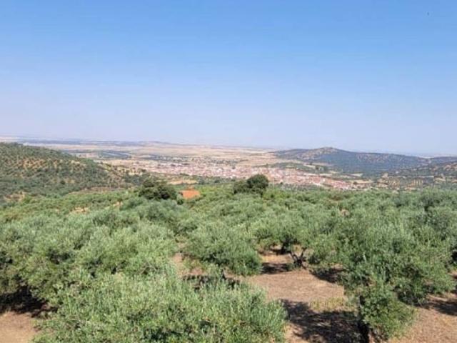 Terreno en venta en Logrosán, Cáceres