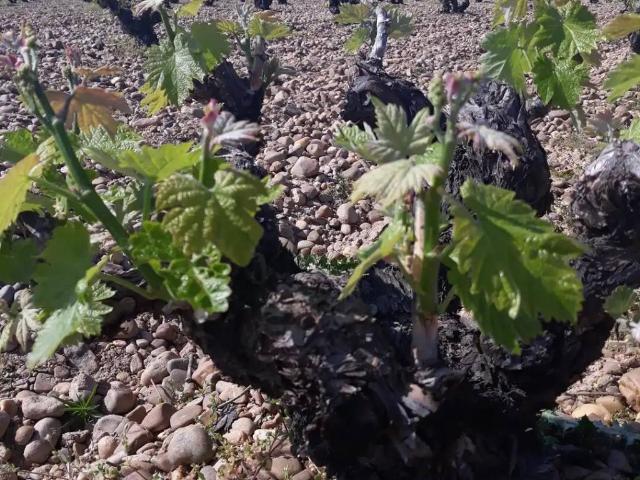 Terreno en venta en El Cubo, Logroño