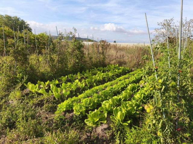 Terreno en venta en Logroño, La Rioja