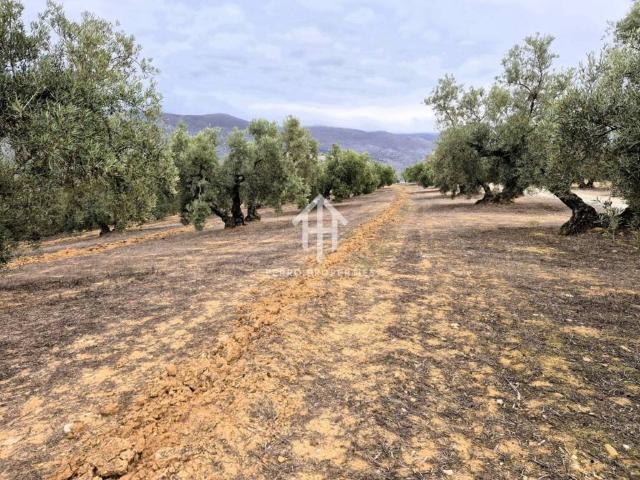 Terreno en venta en Riofrío, Comarca de Loja