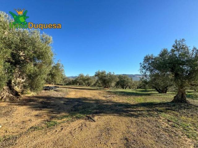 Terreno en venta en Ventorros de la Laguna, Comarca de Loja