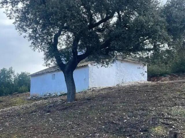 Terreno en venta en La Palma, Comarca de Loja