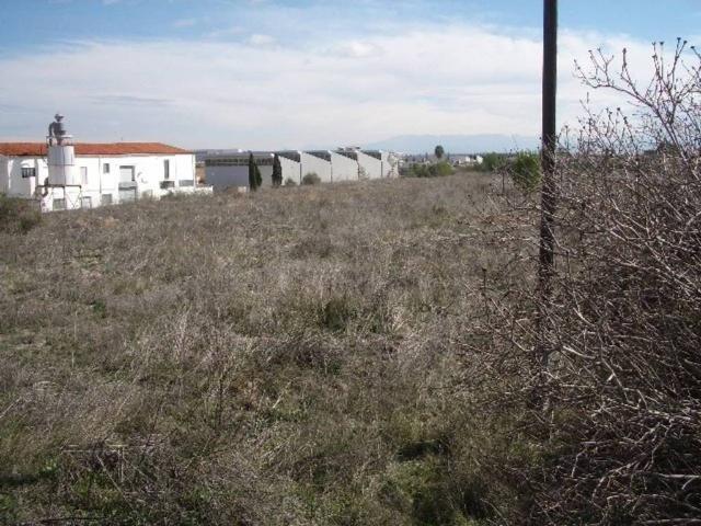 Terreno en venta en la Vall d'Albaida, Valencia