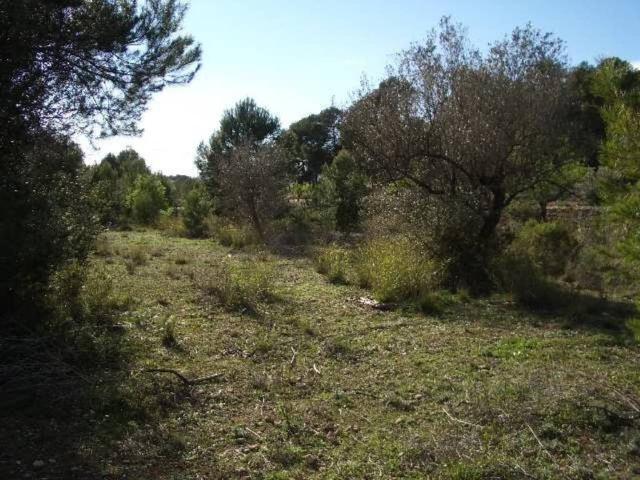 Terreno en venta en la Vall d'Albaida, Valencia