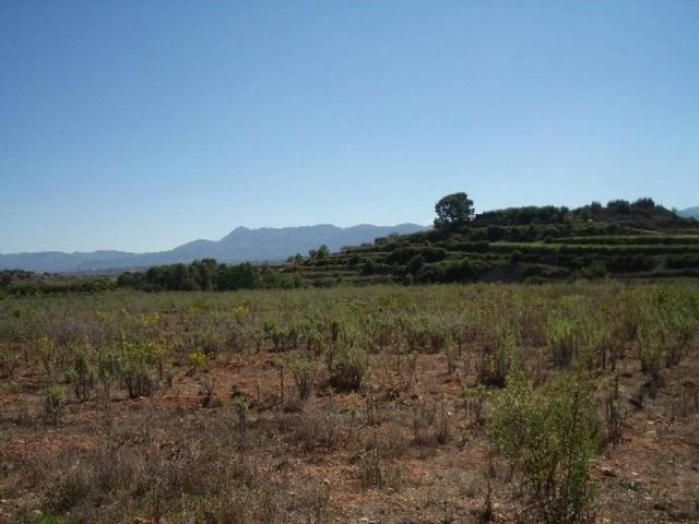 Terreno en venta en la Vall d'Albaida, Valencia