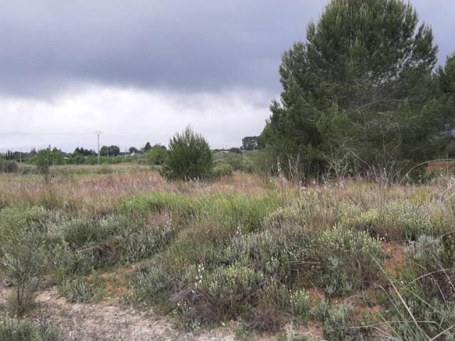 Terreno en venta en la Vall d'Albaida, Valencia