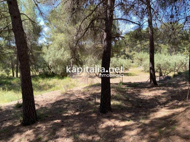 Terreno en venta en la Vall d'Albaida, Valencia