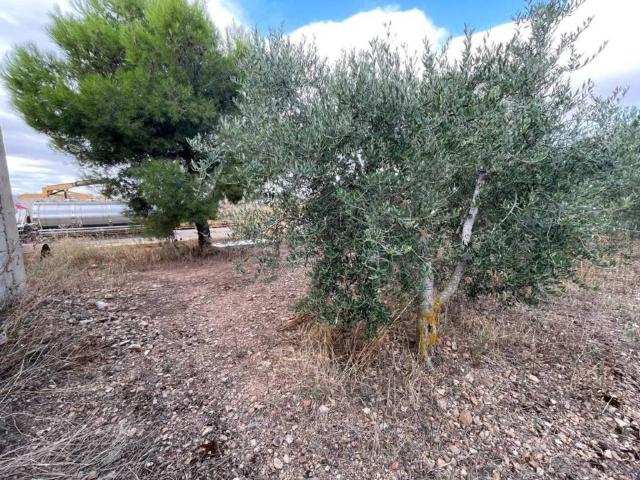 Terreno en venta en Campo de Cariñena, Aragón