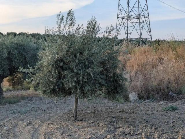 Terreno en venta en Lopera, Andalucía