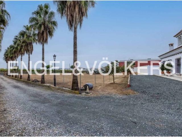 Terreno en venta en Lora Del Río, Andalucía