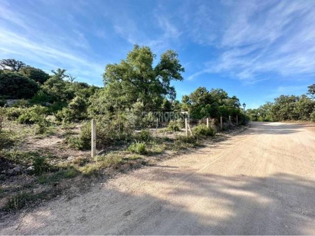 Terreno en venta en Loranca De Tajuña, Castilla-La Mancha