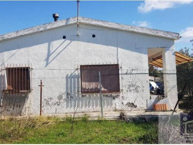 Terreno en venta en Loranca De Tajuña, Guadalajara