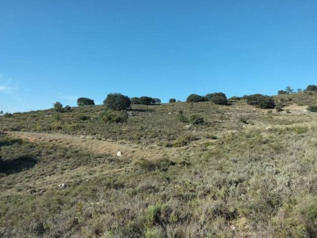 Terreno en venta en Loranca De Tajuña, Castilla-La Mancha