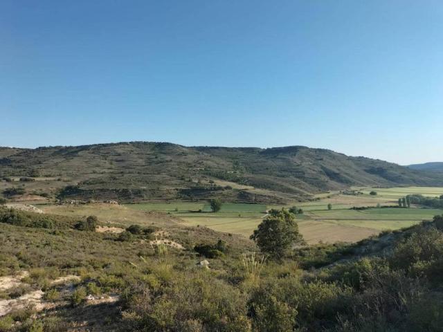 Terreno en venta en Loranca De Tajuña, Castilla-La Mancha