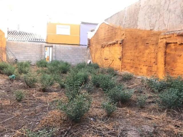 Terreno en venta en San José, Alto Guadalentín