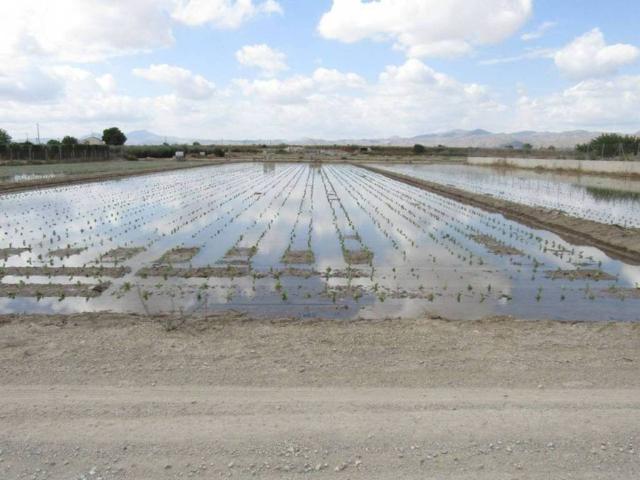 Terreno en venta en La Granja, Alto Guadalentín