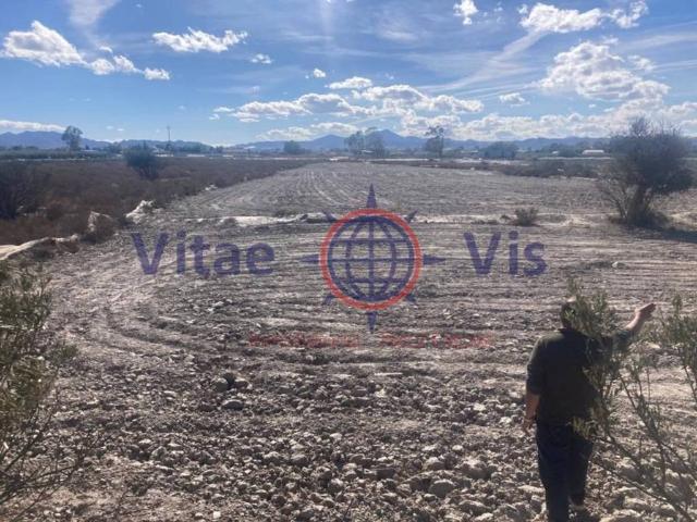 Terreno en venta en Casa Palacio, Alto Guadalentín
