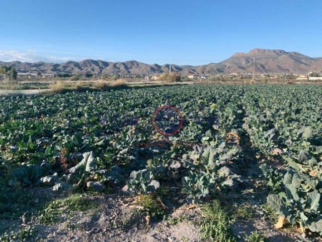 Terreno en venta en El Aljibe y las Brencas de Sicilia, Alto Guadalentín