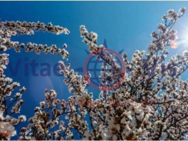 Terreno en venta en La Parroquia, Alto Guadalentín