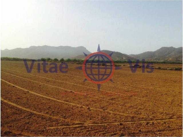 Terreno en venta en Rincón de las Coles, Alto Guadalentín