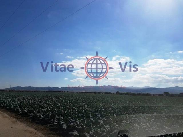 Terreno en venta en El Rincón, Alto Guadalentín