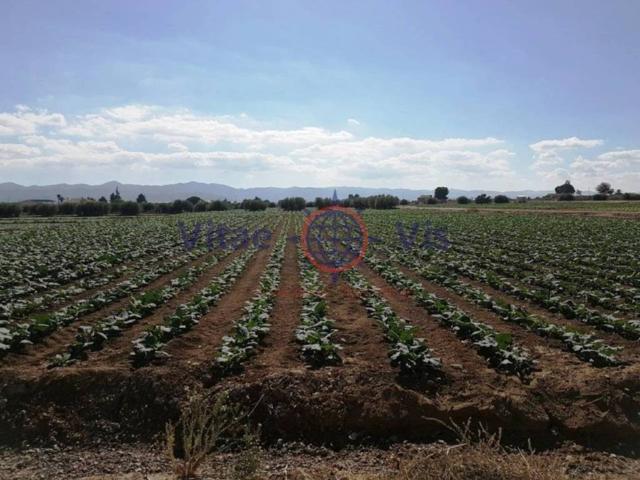 Terreno en venta en La Hoya, Alto Guadalentín