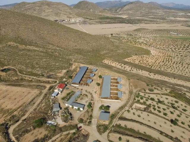 Terreno en venta en Zarcilla de Ramos, Alto Guadalentín