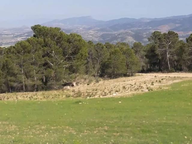 Terreno en venta en La Parroquia, Alto Guadalentín