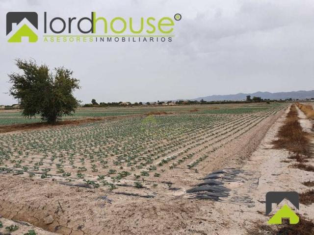 Terreno en venta en Alto Guadalentín, Murcia