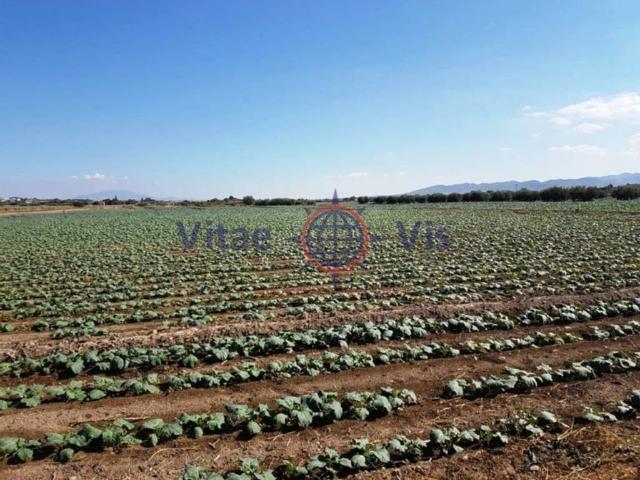 Terreno en venta en Puente del Peregilero, Alto Guadalentín