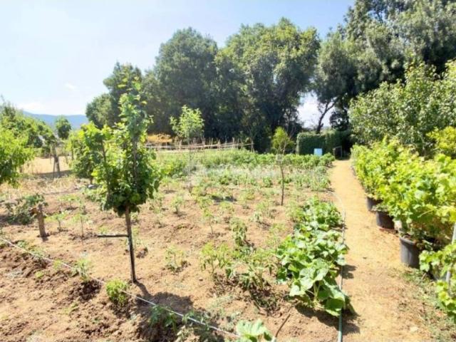 Terreno en venta en Campo de Gibraltar, Andalucía