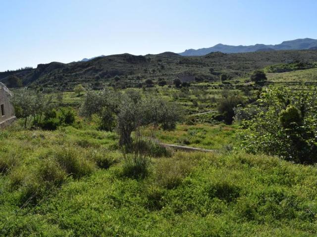 Terreno en venta en Los Gallardos, Andalucía