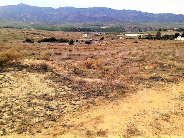 Terreno en venta en Los Gallardos, Andalucía