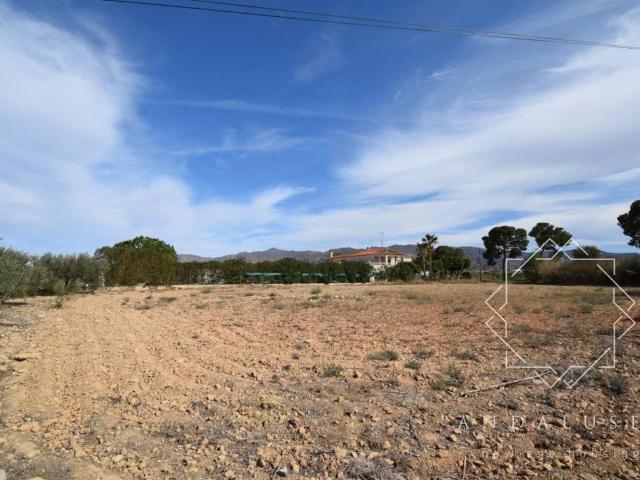 Terreno en venta en Los Gallardos, Andalucía