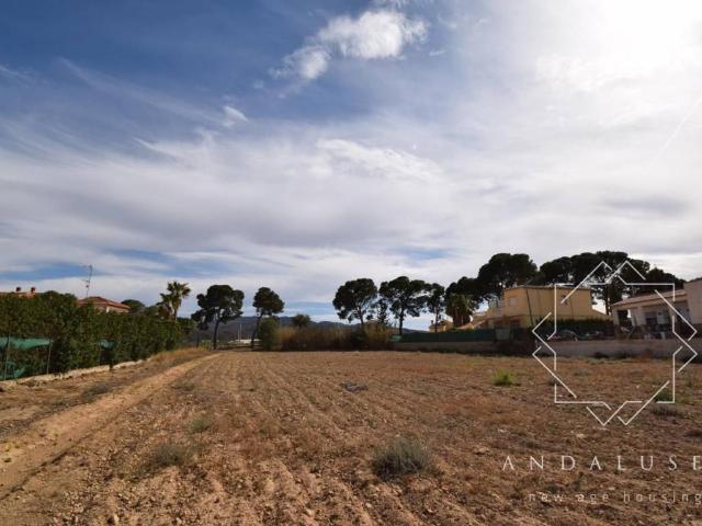 Terreno en venta en Los Gallardos, Andalucía